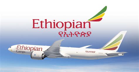 ethiopian airlines check in.